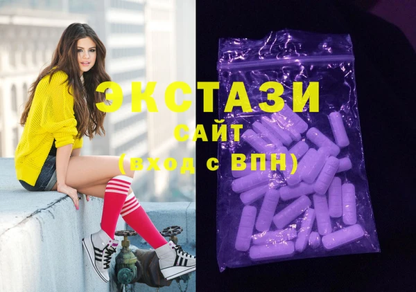 гашик Вяземский