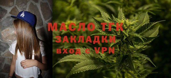 гашик Вяземский