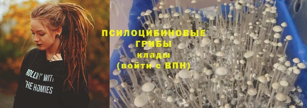 spice Вязники