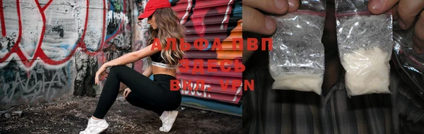 spice Вязники