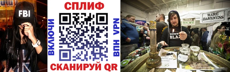 Канабис семена  Верея 